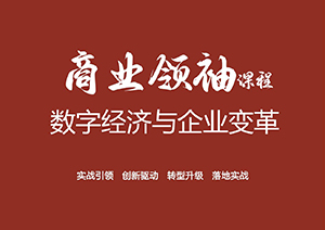 數(shù)字經(jīng)濟(jì)與企業(yè)變革商業(yè)領(lǐng)袖班